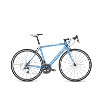 Bicicleta Focus Cayo Team replica Force 22G Bicicleta Focus Cayo Team replica Force 22G