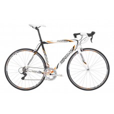 SPRINT MONZA RACE SPRINT MONZA RACE