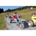 KART DE DOWNHILL MOUNTAINCART